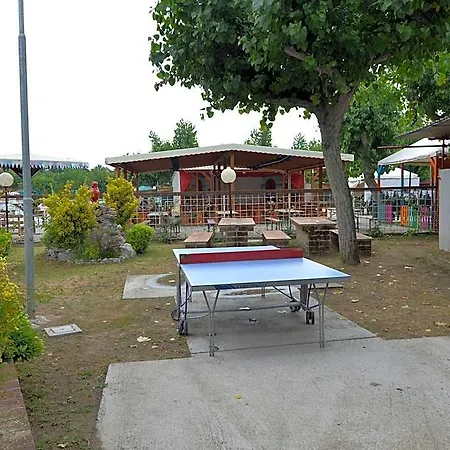 Mobile In Near Natural Park